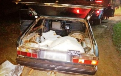 Bezerro furtado é encontrado vivo e sedado em porta-malas de carro