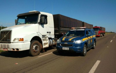 PRF de Três Lagoas intercepta carga com 80 mil pacotes de cigarros contrabandeados