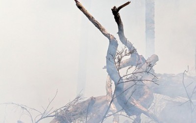 Secretaria de Meio Ambiente alerta sobre os riscos de queimar lixo em quintais