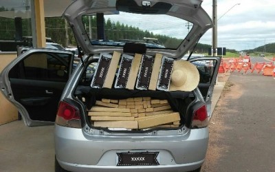 Em abordagem, rapaz é preso com meia tonelada de maconha na BR-262