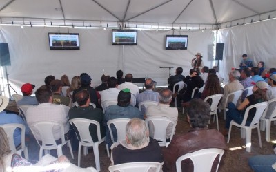 Fazenda Jaó realiza 3º Dia de Campo como parte da programação da Expotrês