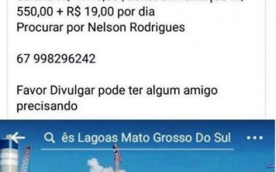 Fibria esclarece que falsas vagas de emprego estão sendo oferecidas nas redes sociais