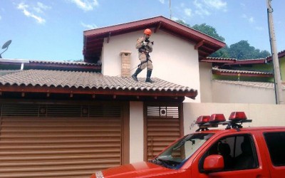 Moradora aciona Corpo de Bombeiros para resgatar gato que estava em telhado de residência 