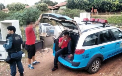 Vigia que deveria cuidar de horta é preso por ter furtado o próprio patrão 