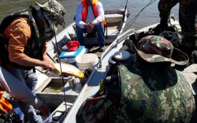 PMA autua 12, apreende armas e aplica 15 mil em multas