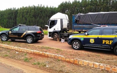 Motorista profissional é preso com mais de 17 quilos de cocaína escondida em carreta