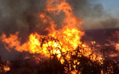 Bombeiros combatem mais um incêndio no “buracão” da Vila Piloto