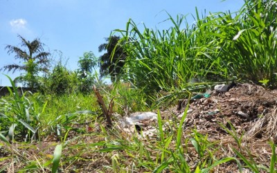 Em 2017, Prefeitura já notificou quase 2.600 proprietários de terrenos sujos