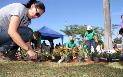 Ação “Áreas Mais Verdes” da Prefeitura planta árvores na Praça Ramez Tebet