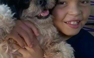 Criança sofre com o desaparecimento de seu cachorrinho de estimação há quatro dias