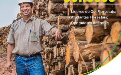 Eldorado Brasil oferece 97 vagas de trabalho para Três Lagoas e Água Clara 