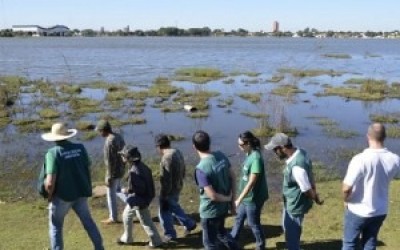 'Comoção popular' impede retirada  dos jacarés da Lagoa Maior