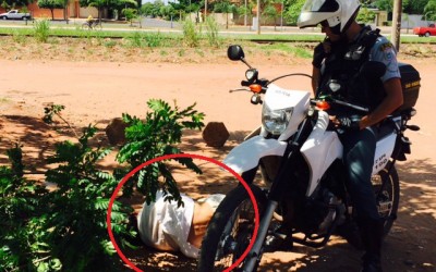Ao contrário do início da semana, “bêbados” dão trabalho para a Polícia Militar