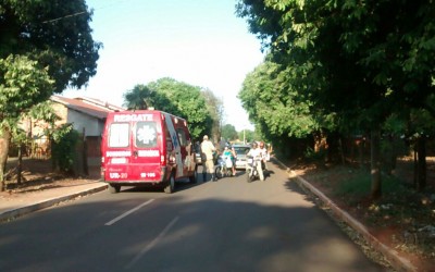 Moradores são atacados por abelhas na região do cemitério municipal