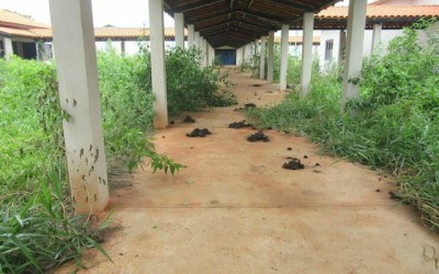 Vereador Gilmar confirma que teve até casamento em Unei abandonada