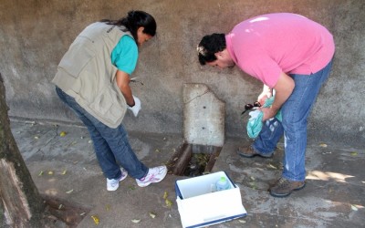 Famílias são orientadas no combate à proliferação de escorpiões