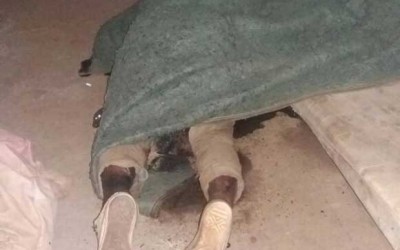 Mau cheiro ajuda PM a descobrir cadáver dentro de casa abandonada