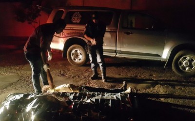 Desconhecido é encontrado morto pela PM em rua próxima à Lagoa Maior durante a madrugada