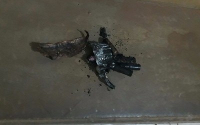 Cartuchos escondidos em saco de carvão explodem durante churrasco no Paranapungá