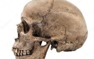  Homem viola sepultura e furta crânio do pai em Paranaíba