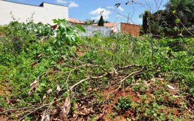 Terreno sujo terá multa dobrada em Três Lagoas ainda neste ano