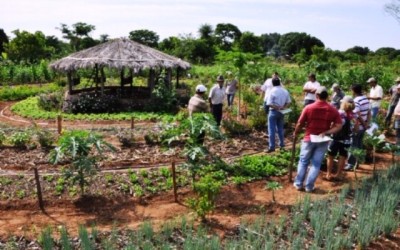 MP quer regularização de lotes nas mãos de sem-terra no Cinturão Verde