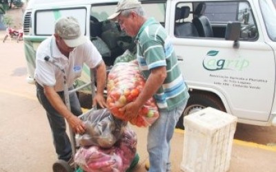 Prefeitura compra mais de 83% dos produtos da alimentação escolar de agricultores familiares de Três Lagoas