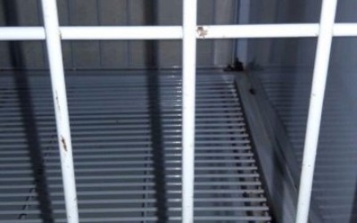 Pet shop de Três Lagoas é acusado de maltratar animais