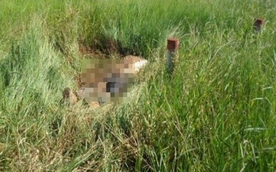 Corpo de homem é encontrado em meio a pasto de fazenda com três tiros
