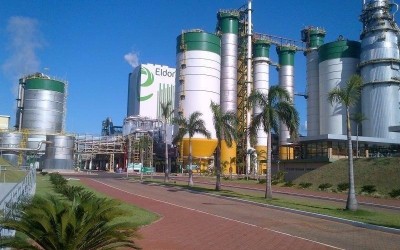 Holandeses que compraram Eldorado estão em Três Lagoas