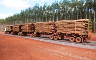 Fibria inova e utiliza composição gigante no transporte de madeiras