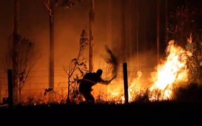 Idoso é flagrado colocando fogo em floresta de eucalipto da Eldorado
