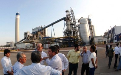 Com nova licença, Fibria se torna maior produtora de celulose do mundo