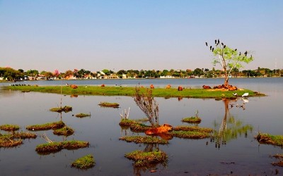 O que começou com fazendas, hoje é a Três Lagoas das inúmeras indústrias