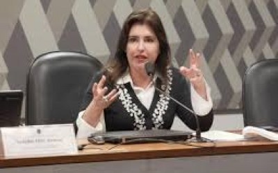 Simone Tebet propõe criminalizar furto de explosivos