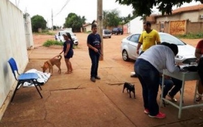 Equipes voltam a vacinar cães e gatos neste sábado
