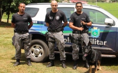“Neca”, Cadela treinada para encontrar drogas integra equipe do 2º Batalhão