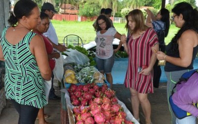 Com um mês de funcionamento, agricultores do “Mini Ceasa” comemoram aumento de vendas