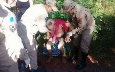 Idoso com Alzheimer que estava desaparecido foi encontrado entre plantação de eucaliptos