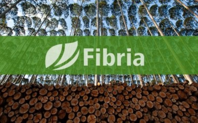 Fibria teve ótimos resultados no 4T17 e ainda possui espaço para crescer, afirmam analistas