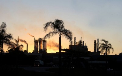 Suzano e Fibria voltam a discutir possível fusão para criar gigante global