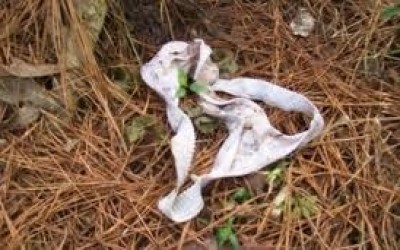 Mulher é estuprada quando fazia caminhada em Três Lagoas 