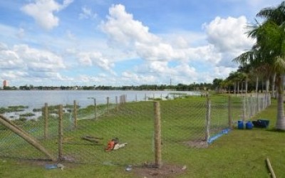 Prefeitura de Três Lagoas comemora plantio de árvores na Lagoa Maior por parte da Fibria