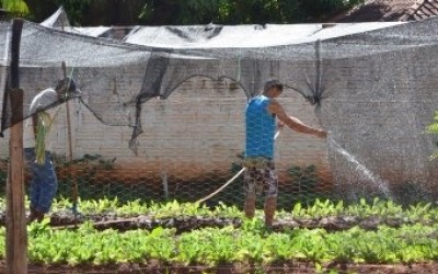 Horta do Centro POP será melhorada com o Projeto Natureza e Corpo