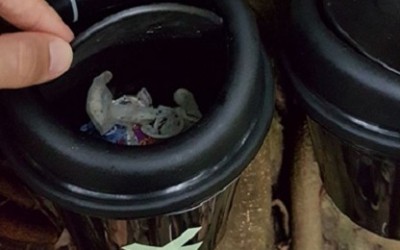 Após furtar residência por 4 vezes, ladrão come miojo e deixa preservativo no banheiro