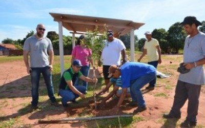 Projeto Áreas Mais Verdes realiza plantio de árvores no campo do Bairro Santa Rita