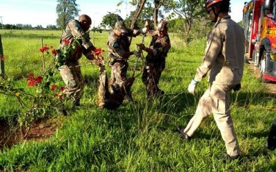 Jacaré de quase dois metros é capturado às margens da BR-158