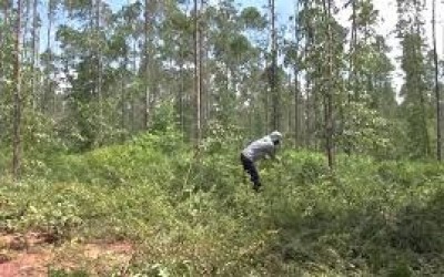 Homens desconhecidos demarcam 3 fazendas sem autorização dos proprietários 