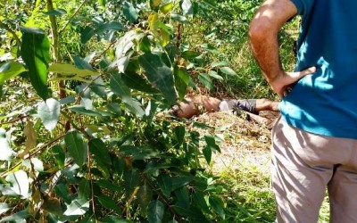 Homem encontrado morto na área rural foi degolado