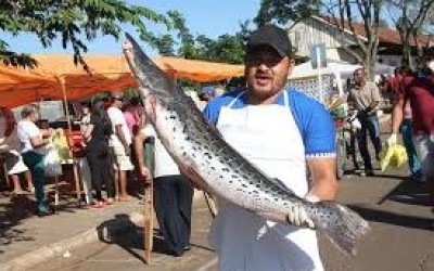 Amanhã é último dia para retirada de alvarás para participar da 5ª Feira do Peixe 